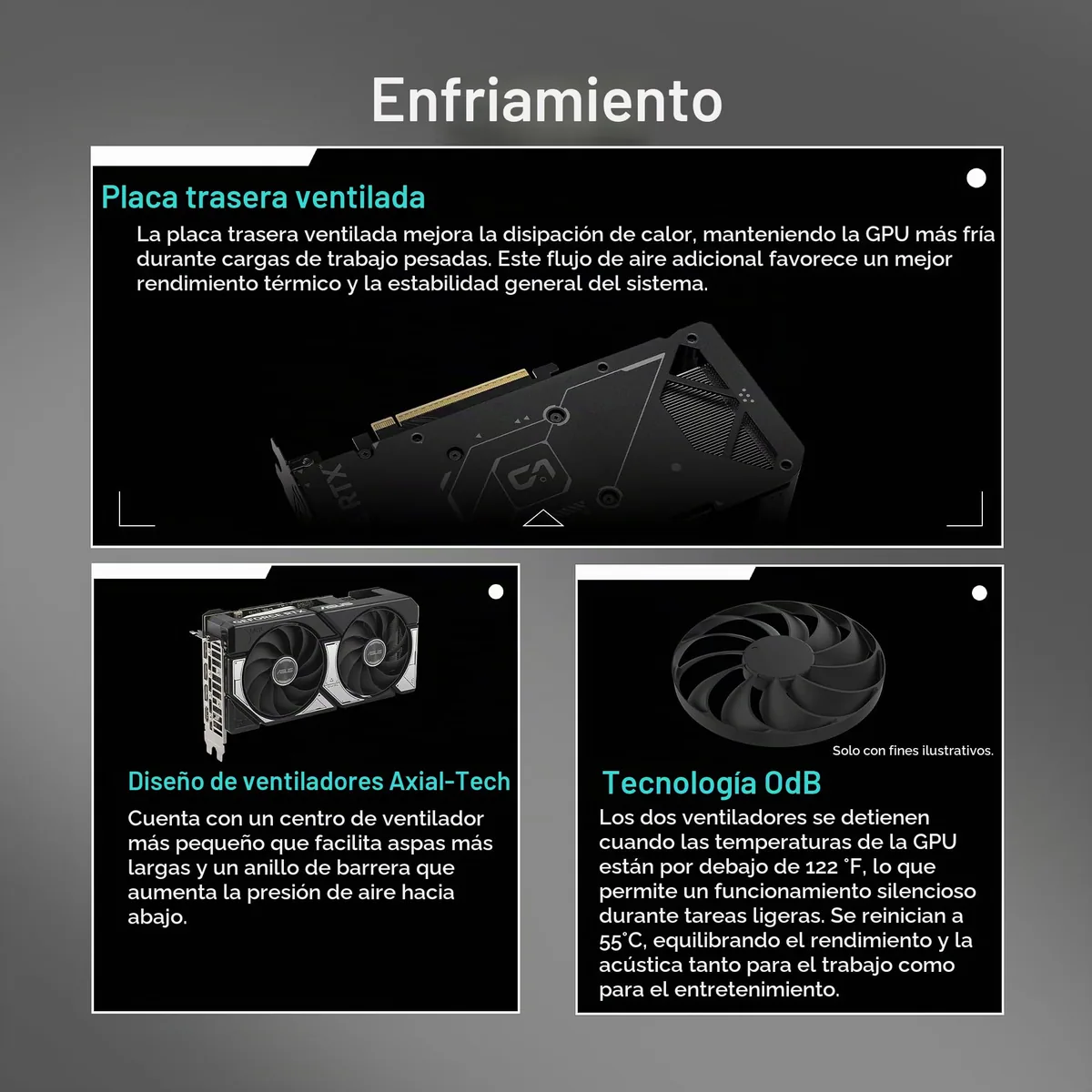 ASUS Dual GeForce RTX 5060 8GB GDDR7 OC foto 4