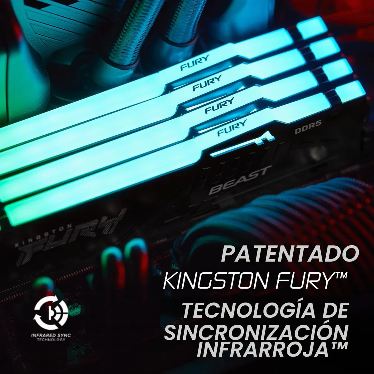 Kingston FURY Beast RGB 16GB 6000MT/s DDR5 CL36 foto 3