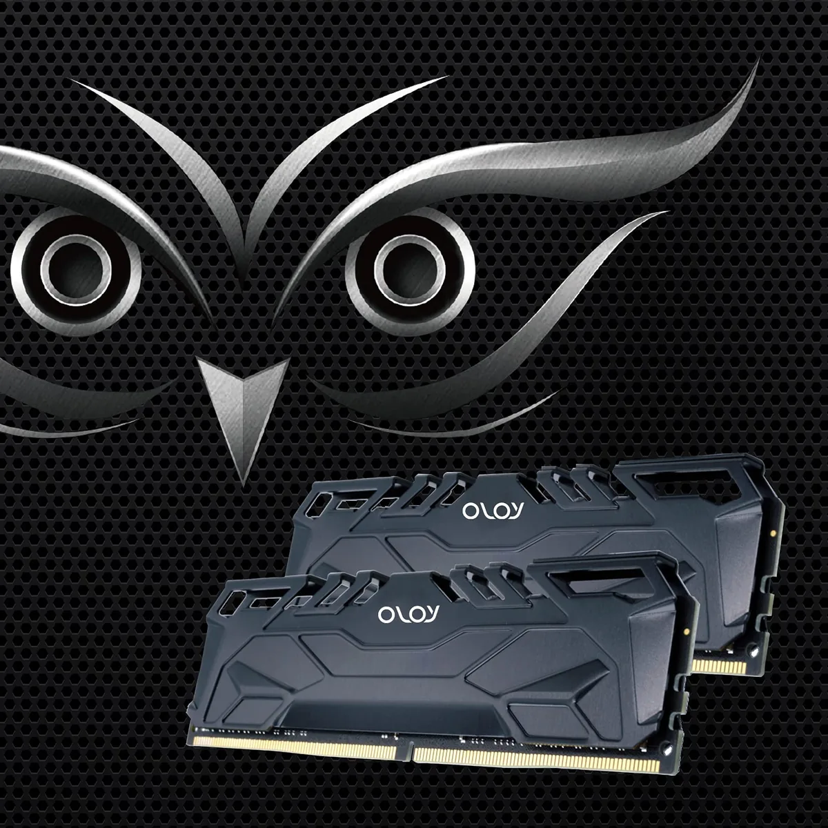 OLOy 16GB (2x8GB) DDR4 3000MHz CL16 foto 3